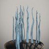 Sea Oracle II, 2013